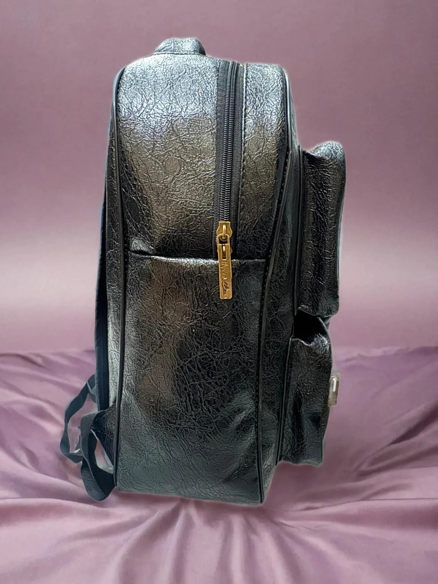 Leather Finish Backpack